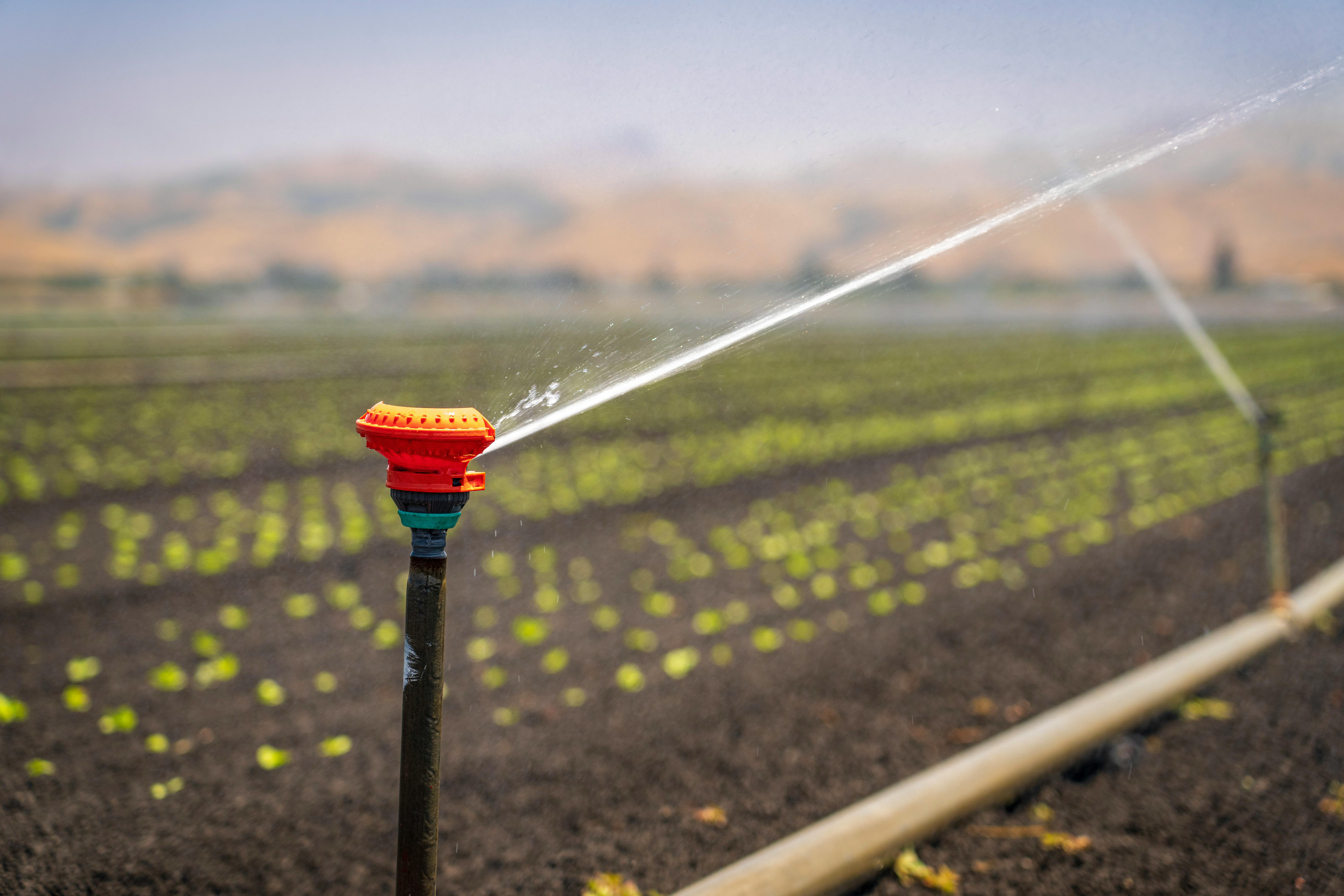sprinkler